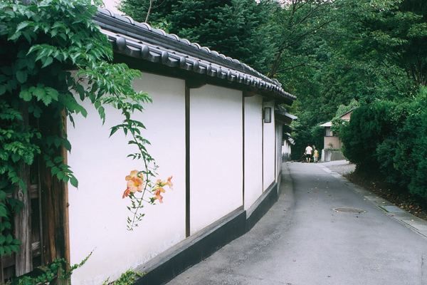 ʏ